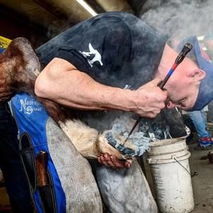 Meet your Posher, John